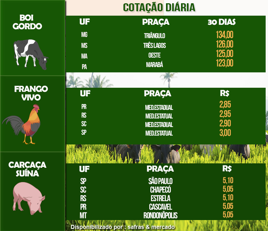 Indicadores